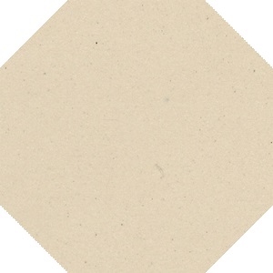 Керамогранит 100OCBAU oct.10 WHITE BAU 10x10 Winckelmans