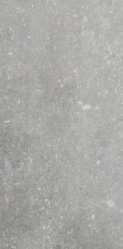 Керамогранит 1076235 Ardenne Grigio 20x40 CIR