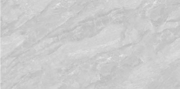 Керамогранит 12G613 Rock Slab Gray Rectificado 60х120 Telunpu Ceramics