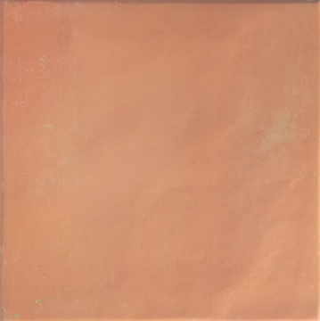 Керамогранит 138718 Bow Square Cotto Matt 18.5х18.5 DNA Tiles