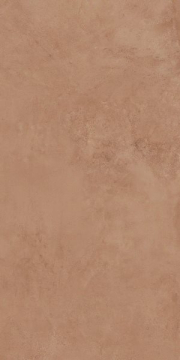 Керамогранит 16887 State коричневый ректификат 44,8x89,8 Meissen