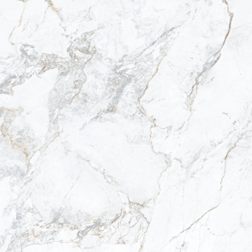 Керамогранит 1865 White Rect. 100x100 Porcelanite Dos