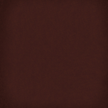 Керамогранит 1900 Chocolate g.136 20x20 VIVES