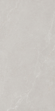Керамогранит 199002 Noble Stone Grey Nat Ret 60х120 Ava Ceramica