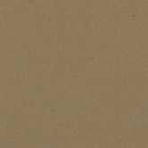 Керамогранит 200CA0CAF cx.20 COFFEE CAF 20x20 Winckelmans