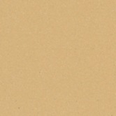 Керамогранит 200CA0COG cx.20 COGNAC COG 20x20 Winckelmans