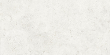 Керамогранит 225522 Norwegian White 59.5x119.2 ProConcept