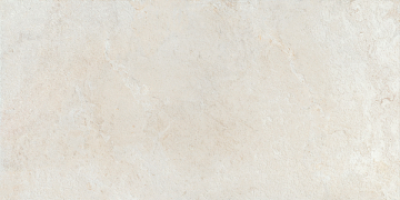 Керамогранит 233920 Elements Bone 59.5x119.2 Colorker