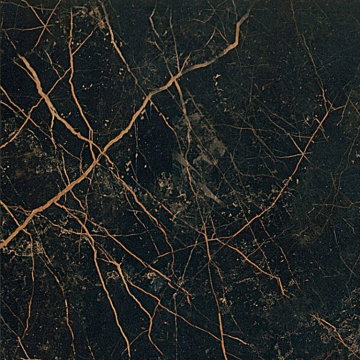Керамогранит 240013 MARBLE NERO S.LAURENT RETTIFICATO LAPPATO 58,5x58,5 Versace (Gardenia Orchidea)