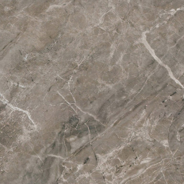 Керамогранит 240016 MARBLE GRIGIO ONICE RETTIFICATO LAPPATO 58,5x58,5 Versace (Gardenia Orchidea)