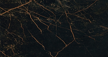 Керамогранит 240063 MARBLE NERO S.LAURENT LAPPATO 58.5x117.5 Versace (Gardenia Orchidea)