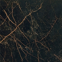 Керамогранит 240113 MARBLE NERO S.LAURENT LAPPATO 2,7x2,7 Versace (Gardenia Orchidea)