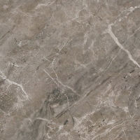 Керамогранит 240116 MARBLE GRIGIO ONICE LAPPATO 2,7x2,7 Versace (Gardenia Orchidea)
