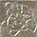Керамогранит 240396 MARBLE TOZZETTO MEDUSA GRIGIO SAB 2,7x2,7 Versace (Gardenia Orchidea)