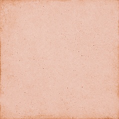 Керамогранит 24388 ART NOUVEAU CORAL PINK 20*20 EQUIPE