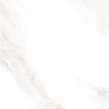 Керамогранит 2573 Shine grey Polished 60x60 Sina Tile