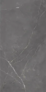Керамогранит 296 Флора дарк 60x120 Eurotile Ceramica