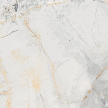 Керамогранит 42CN Erdek-R Pulido 59.3x59.3 VIVES