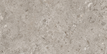 Керамогранит 44BZP39 Bierzo Gris Seda 60х120 Grespania