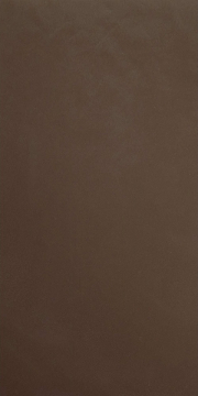 Керамогранит 4796551 Architecture Dark Brown Gloss 9,5 мм 30x60 Casalgrande Padana