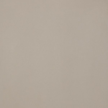 Керамогранит 4950057 Architecture Beige Naturale 10,5 мм 60x60 Casalgrande Padana