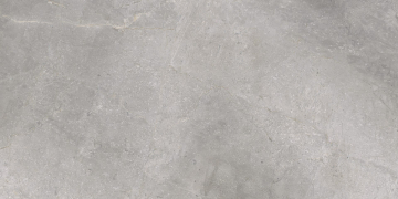 Керамогранит 5903313315494 Masterstone Silver Rect R9 119.7x59.7 CERRAD