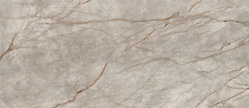 Керамогранит 600180000015 Empire Silver Root Lapp 120x278 Atlas Concorde Russia