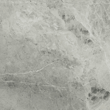 Керамогранит 610010001190 Charme Extra Silver Nat Ret 60x60 Italon