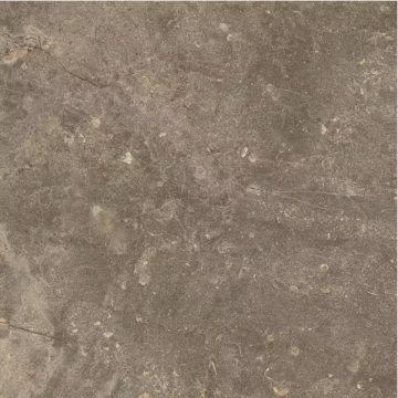 Керамогранит 610010001441 Червиния Земля 45x45 ColiseumGres