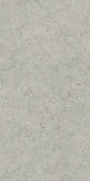 Керамогранит 610010004168 Forum Stone Silver Ret 60x120 Italon