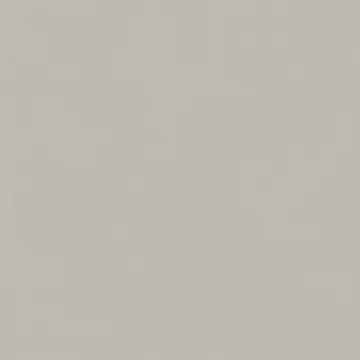 Керамогранит 610010004198 Forum Slim Silver Ret 120x120 Italon