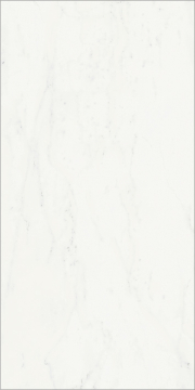 Керамогранит 610015000494 Charme Deluxe Бьянко Микеланжело Пат Рет 60x120 Italon