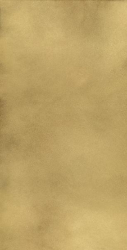 Керамогранит 610015000645 Continuum Brass Gold Lap 80x160 Italon