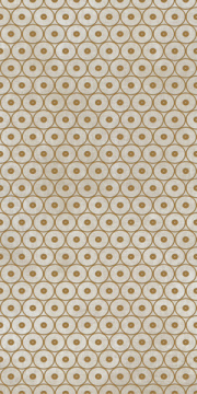 Керамогранит 752601 Tesori Decoro Anelli Bianco Oro 6mm 120x240 Cedit