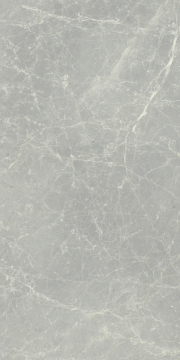Керамогранит 760017 Exalt Silver Light Luc Ret 30x60 Cerim