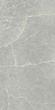 Керамогранит 760032 Exalt Silver Light Luc Ret 60x120 Cerim