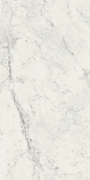 Керамогранит 760039 Exalt Fairy White Nat Ret 60x120 Cerim