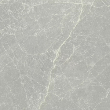 Керамогранит 760064 Exalt Silver Light Luc Ret 60x60 Cerim