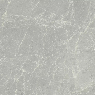 Керамогранит 760074 Exalt Silver Light Nat Ret 60x60 Cerim