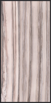Керамогранит 764093 Policroma Cornice Valtoce Mat Ret 6mm 120x240 Cedit