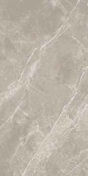 Керамогранит 766526 Elemental Grey Dolomia Nat Ret 60x120 Cerim