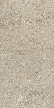 Керамогранит 768337 Sensi Ivory Fossil Ret 40x80 Casa Dolce Casa