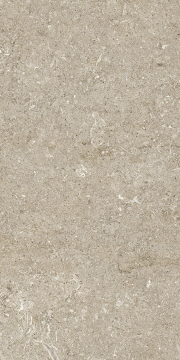 Керамогранит 768338 Sensi Ivory Fossil R+PTV Ret 40x80 Casa Dolce Casa