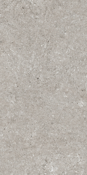 Керамогранит 768342 Sensi Grey Fossil Ret 40x80 Casa Dolce Casa