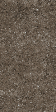 Керамогранит 768353 Sensi Brown Fossil Ret 40x80 Casa Dolce Casa