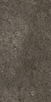 Керамогранит 768625 Sensi Brown Fossil Nat Ret 6mm 60x120 Casa Dolce Casa