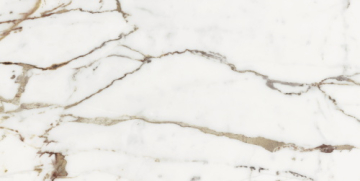 Керамогранит 769854 Les Origines De Rex Or Matte Rett 60x120 Rex Ceramiche