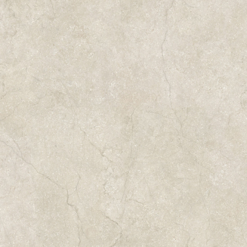 Керамогранит 778698 Stone Life Shell Matte Ret 60x60 Cerim