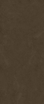 Керамогранит 780666 Dust Brown STU Rett 3mm 120x300 Florim Skin
