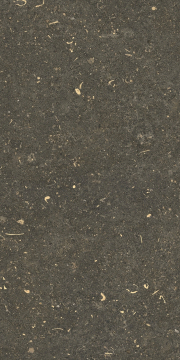 Керамогранит 785491 Rinascenza Arena Platino Matte 30x60 Casa Dolce Casa